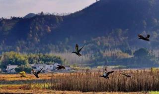 安微川藏线旅游攻略