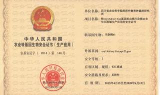 安全证书错误怎么办 安全证书错误怎么办