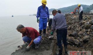 混泥土破损修复厂家 混泥土破损修复厂家