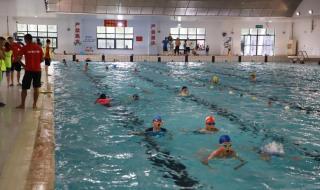 2022年游泳比赛报名 2022年游泳比赛报名